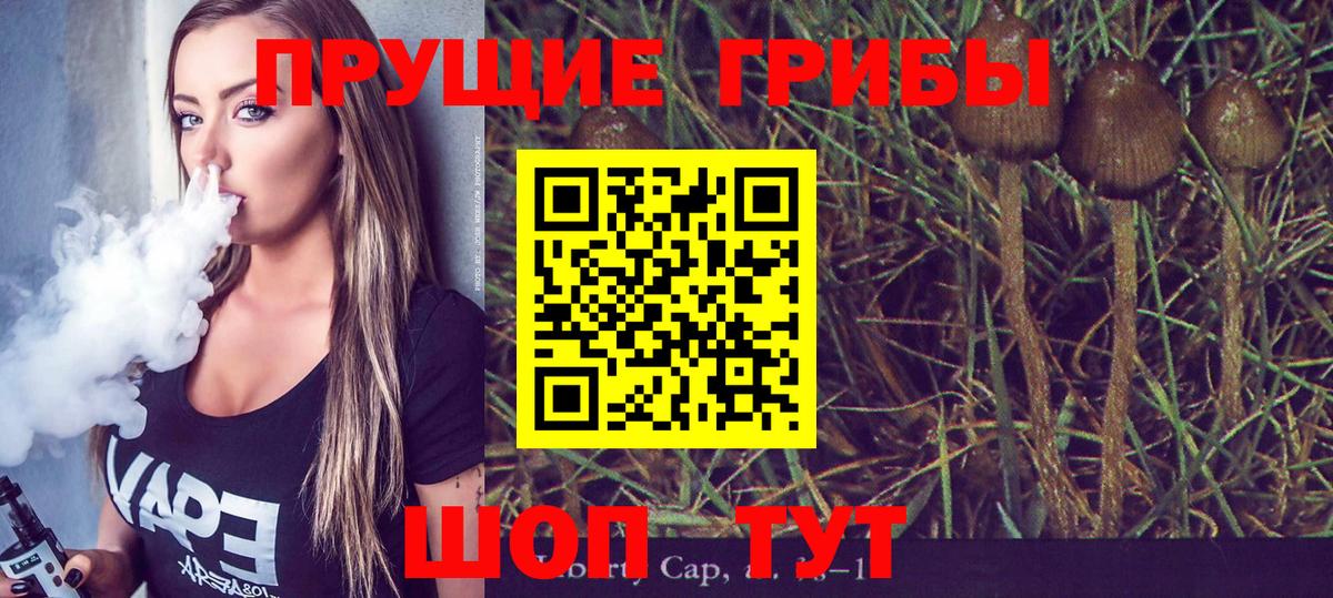 Чита  Псилоцибиновые грибы мухоморы  купить наркотики сайты  Вход с VPN 