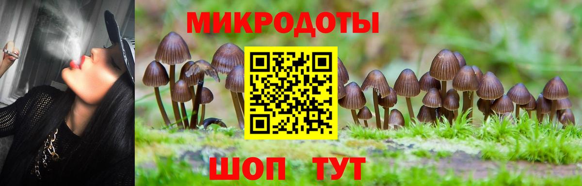 Псилоцибиновые грибы Psilocybine cubensis Чита